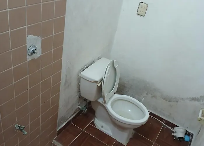Rhinos House Apartamento